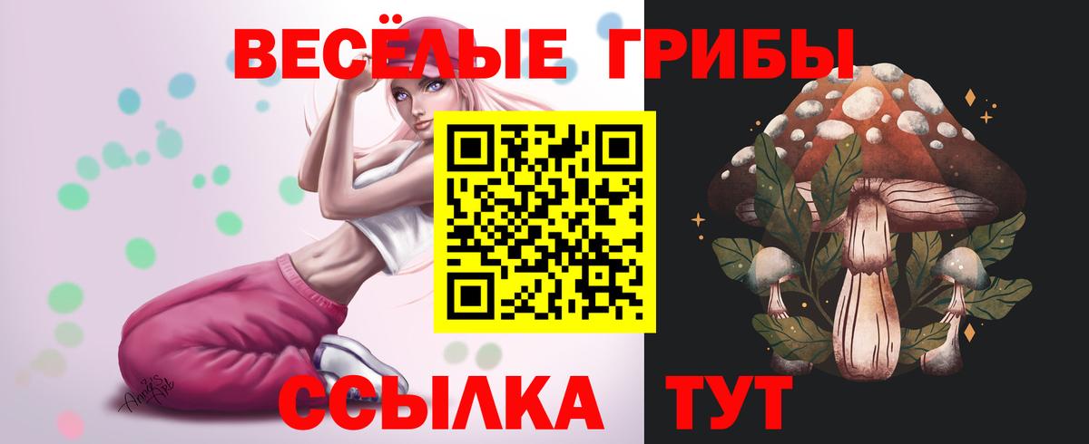 Галлюциногенные грибы Cubensis Заринск